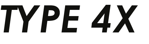 TYPE_4X.png
