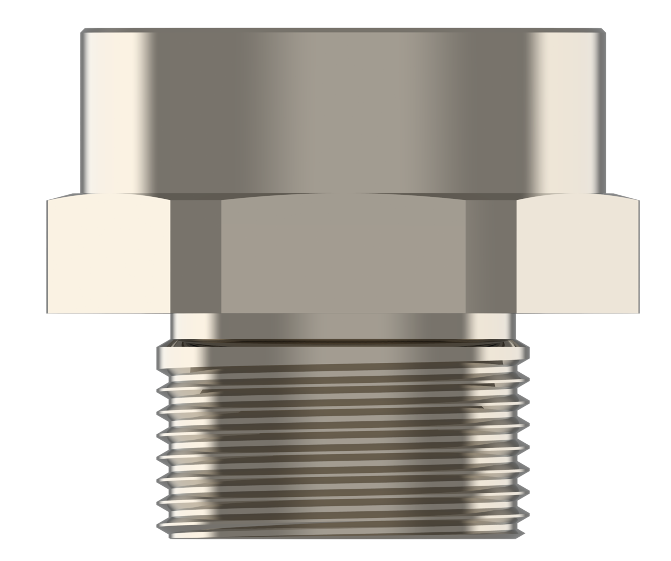 APUS view 4