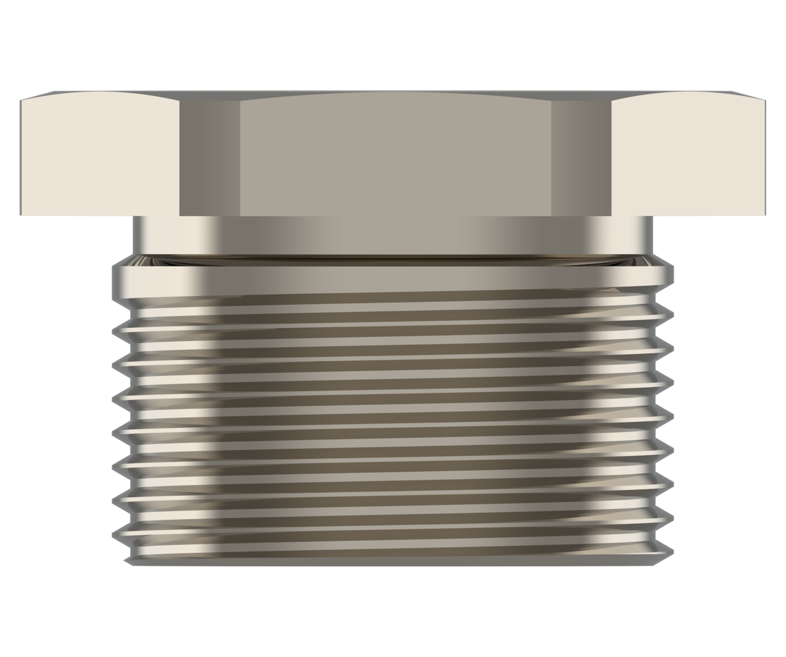 AQUILA HEXAGONAL view 4
