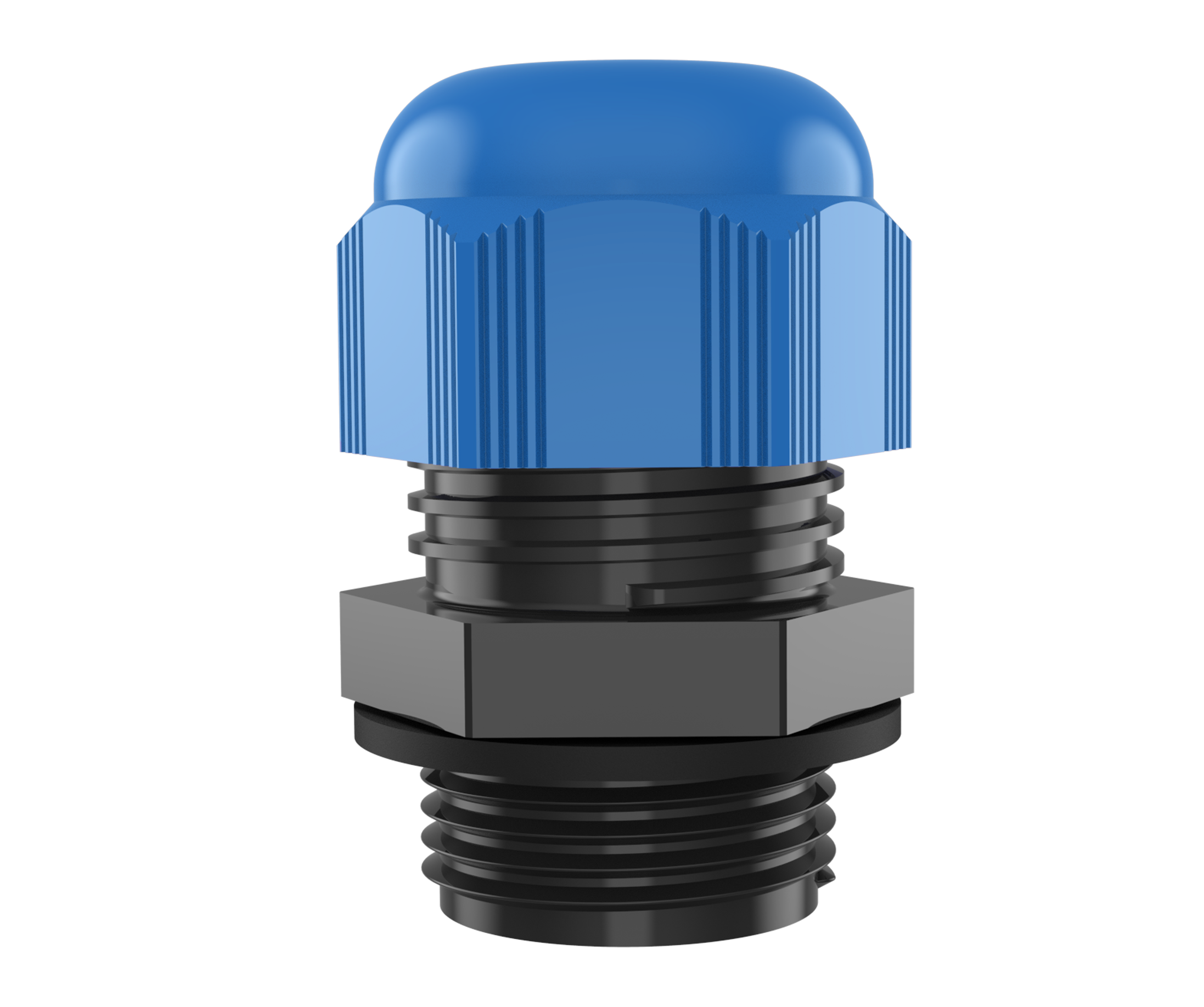 LYRA BLUE view 2