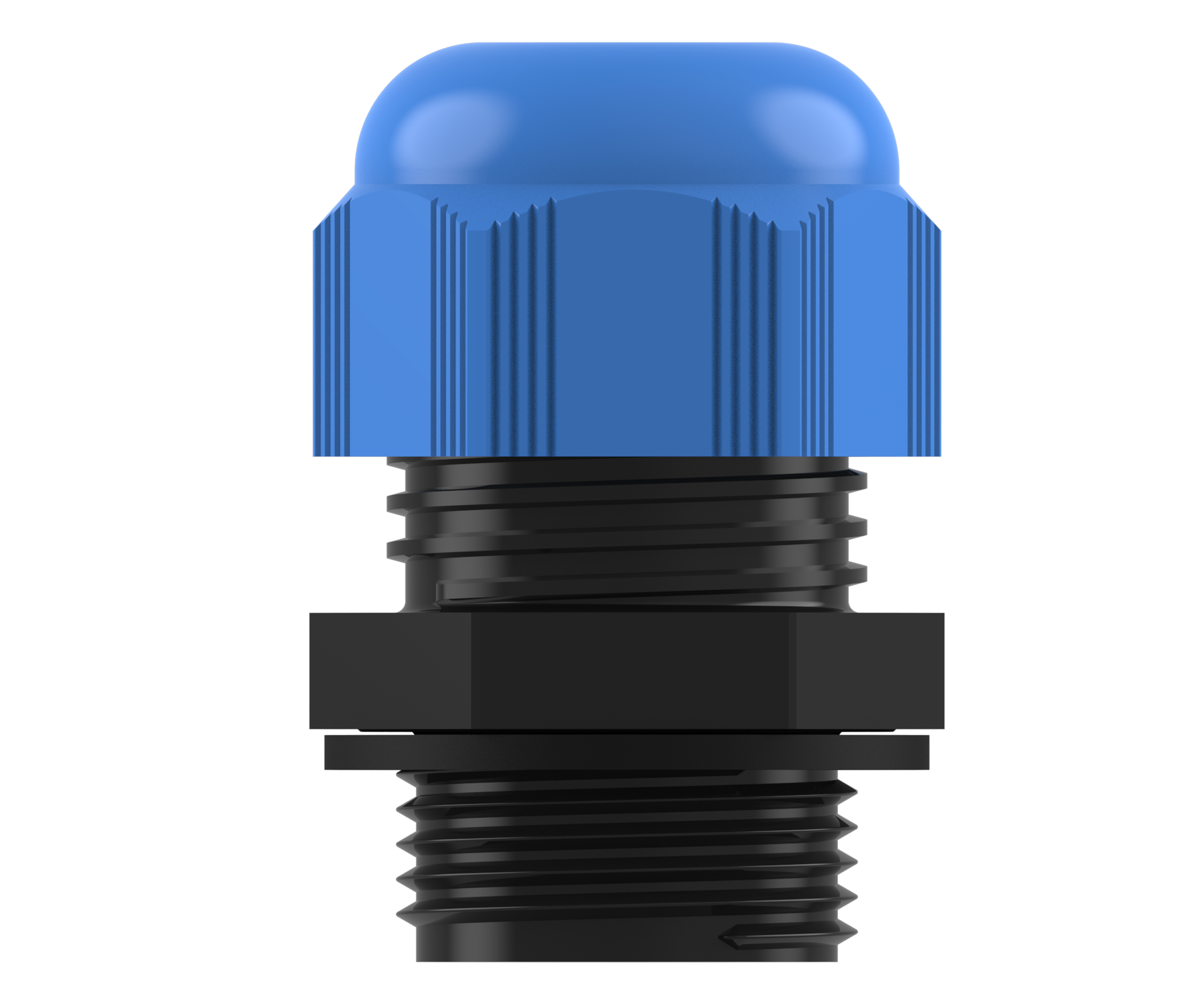 LYRA BLUE view 3