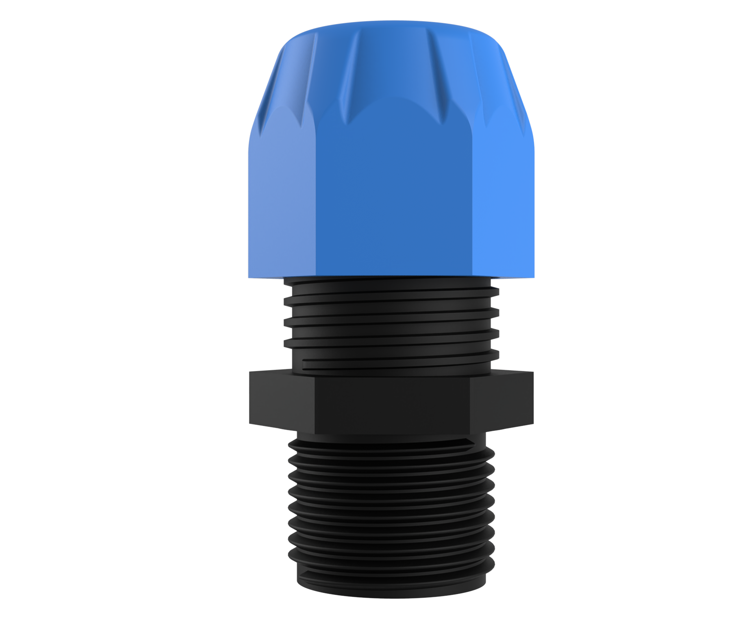 VEGA BLUE view 2