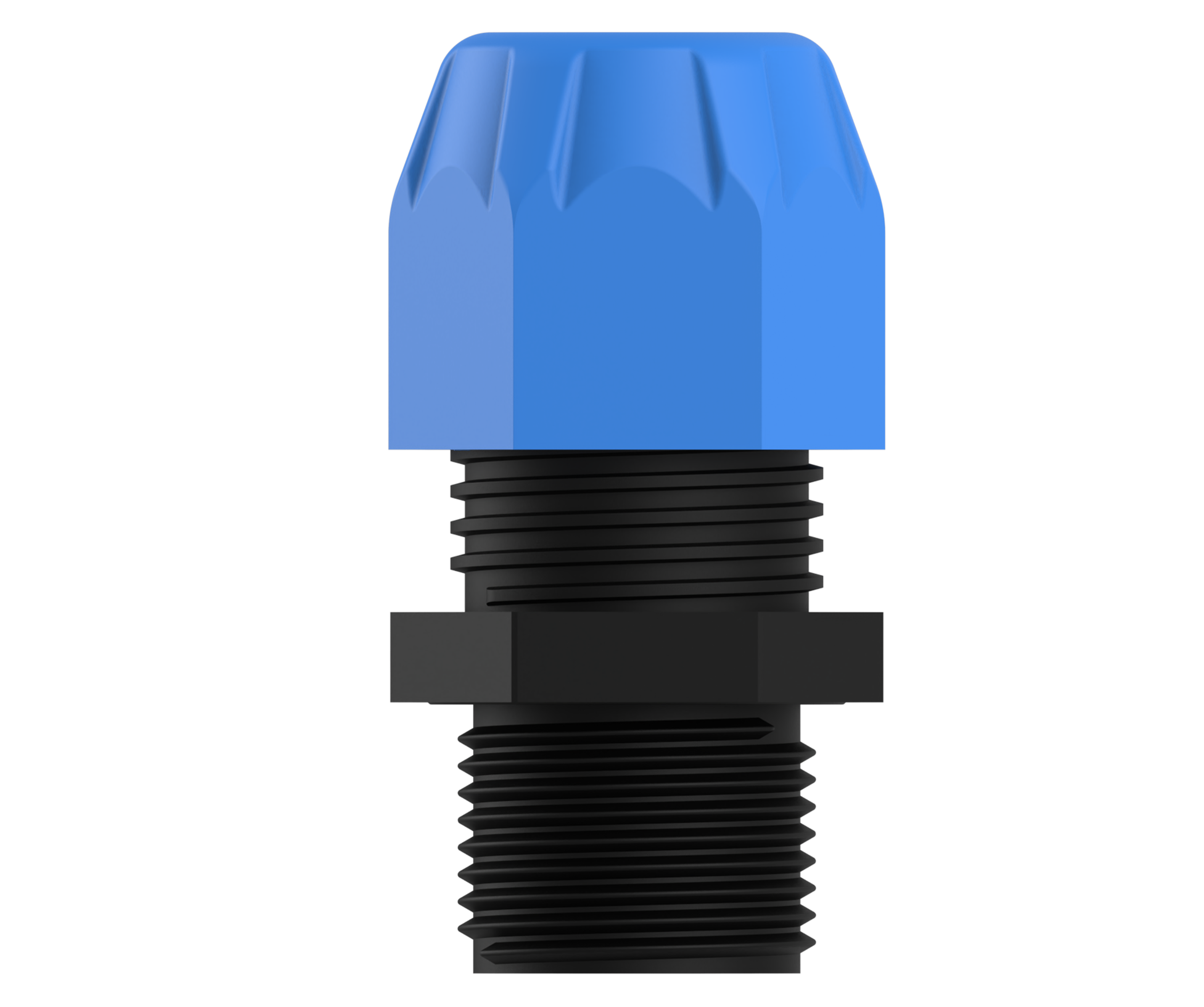 VEGA BLUE view 3